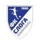 Sloga 1980