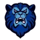 Argentino de Junín