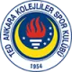 TED Ankara Kolejliler