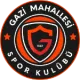 Gazi Mahallesi SK U15