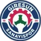 Giresun Sanayispor U15