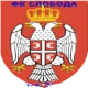 FK Sloboda Donji Zagoni