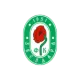 FK Zvezdara Beograd Veterani