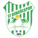 12 Bingölspor U19