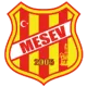 Mesev SK U15