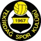 Tekirdağspor U15