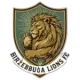 Birżebbuġa Lions FC