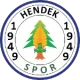Hendekspor U15