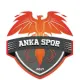 Anka Sportif Faaliyetler U16