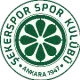 Ankara Şekerspor U17