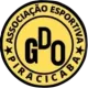 AE Garotos de Ouro U13