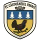 AS Călimănelul Panaci