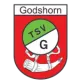 TSV Godshorn Ü40