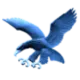 ADMU Blue Eagles