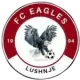 FC Eagles U11
