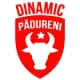 Dinamic Pădureni