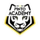 CDE Pinto Academy FC