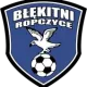 Błękitni Ropczyce U19
