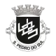 UD Sampedrense U19