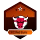 FC Red Bulls