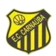 Carnaúba