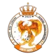 Santo Andre FC