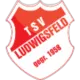 TSV Ludwigsfeld 2 (9)