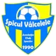 ACS Spicul Vâlcelele U17