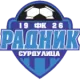 Radnik Surdulica U17