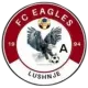 FC Eagles A U13