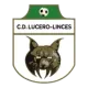 Agrupación C.D. Lucero Linces 'B'