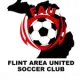 Flint Area United U14