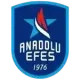 Anadolu Efes U15