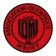 Association Olympique Mrirt