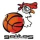 Galitos Basquetebol