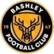 Bashley FC