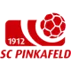 Pinkafeld