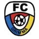 FC Grimma
