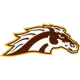 Western Michigan Broncos