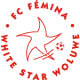 FC Fémina White Star Woluwe