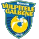 Vulpițele Galbene Roman