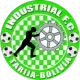 Avilés Industrial FC