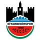 Diyarbekir Spor AŞ