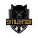 SV Tillmitsch