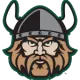 Cleveland State Vikings