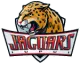 Iupui Jaguars