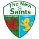 The New Saints LFC