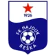 FK Hajduk Beška