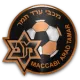 FC Arad