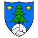 FC Saint-Léonard